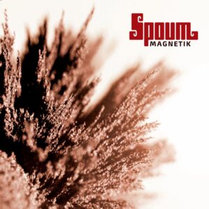 spoum magnetik